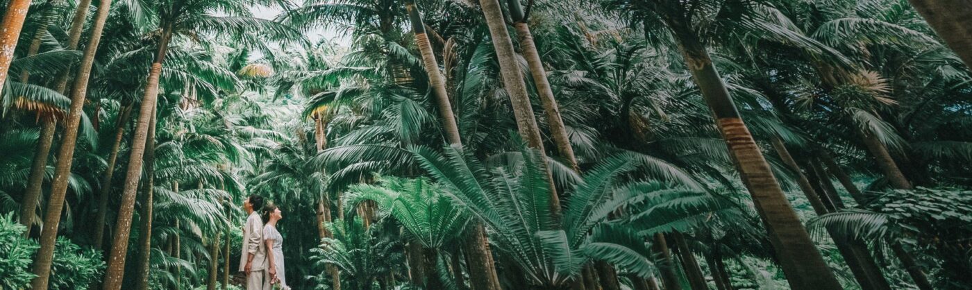 沖縄 フォトウェディング なら「追加料金なし」のベレールへ！/前撮り/結婚写真/ブライダルフォト/「ベレール 沖縄」